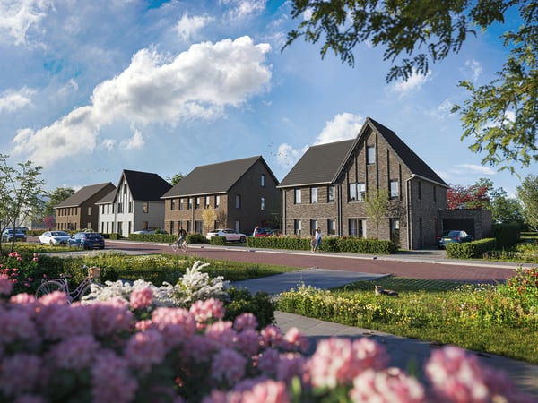 Weideblik - Gravenbeek Oldenzaal